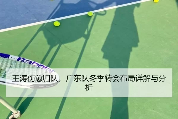 王涛伤愈归队，广东队冬季转会布局详解与分析