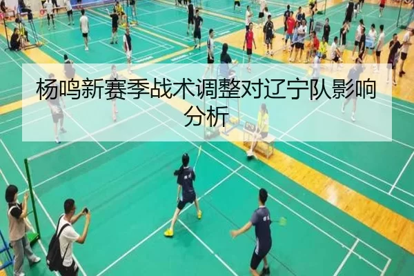 杨鸣新赛季战术调整对辽宁队影响分析